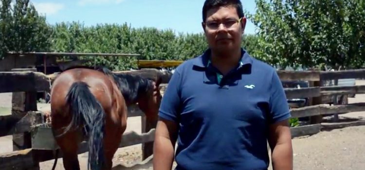 CASO DE ÉXITO: SERGIO ÁLVAREZ, EX ALUMNO UPNECH, REALIZA PROYECTO DE EQUINOTERAPIA CASO DE ÉXITO: SERGIO ÁLVAREZ, EX ALUMNO UPNECH, REALIZA PROYECTO DE EQUINOTERAPIA